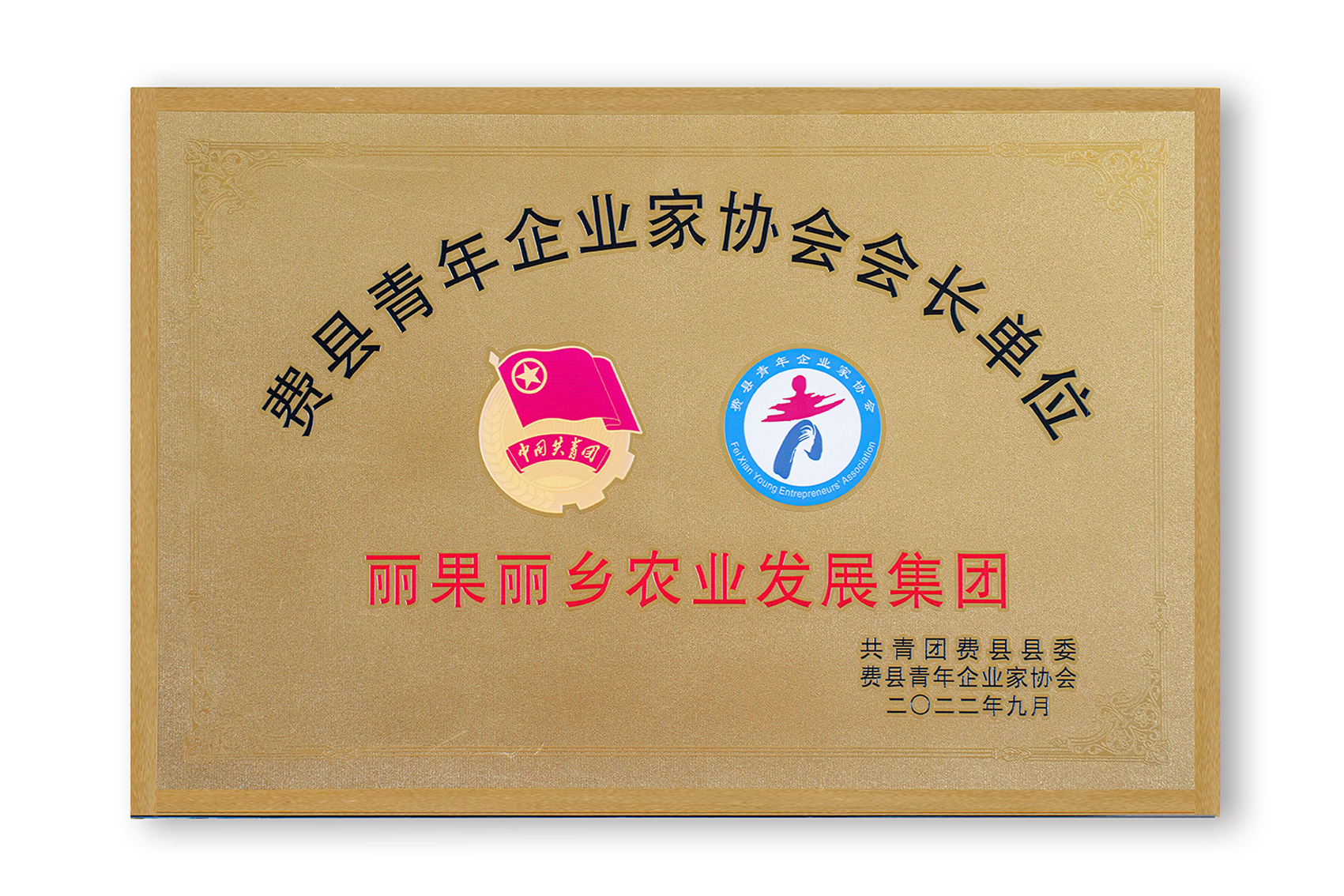 费县青年企业家协会会长单位