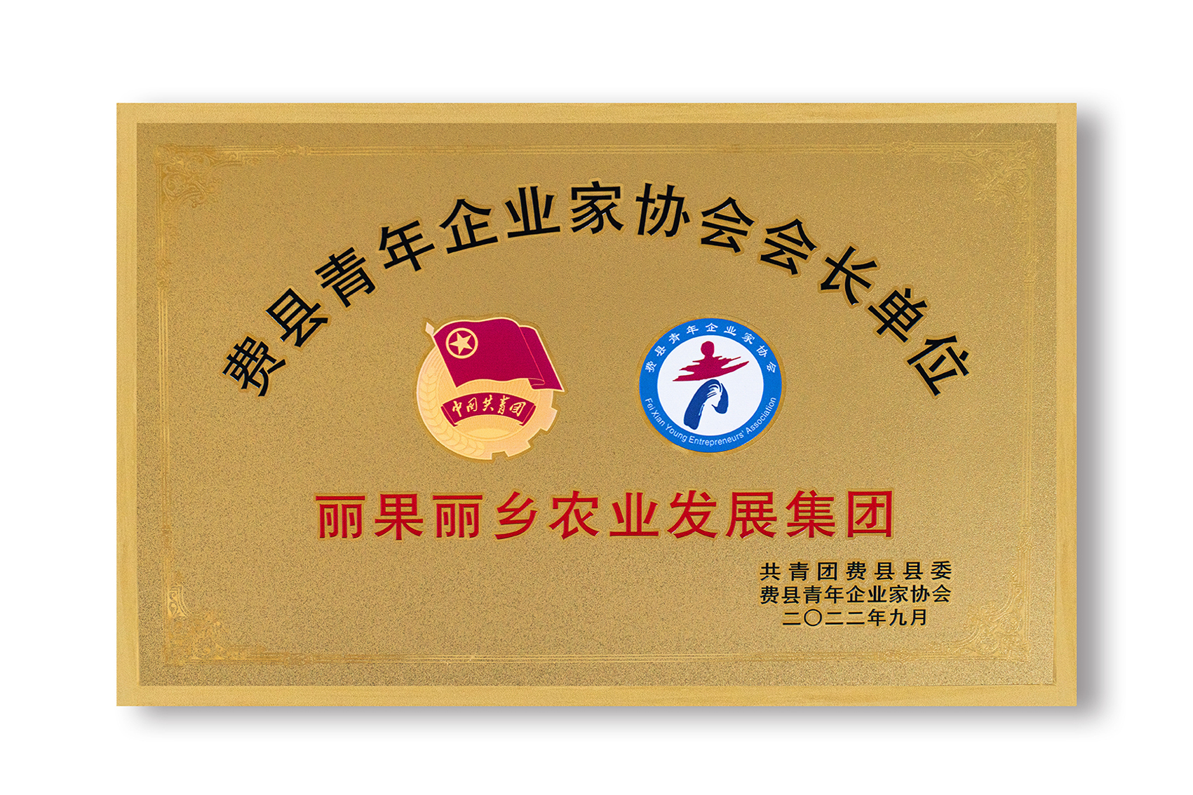 费县青年企业家协会会长单位