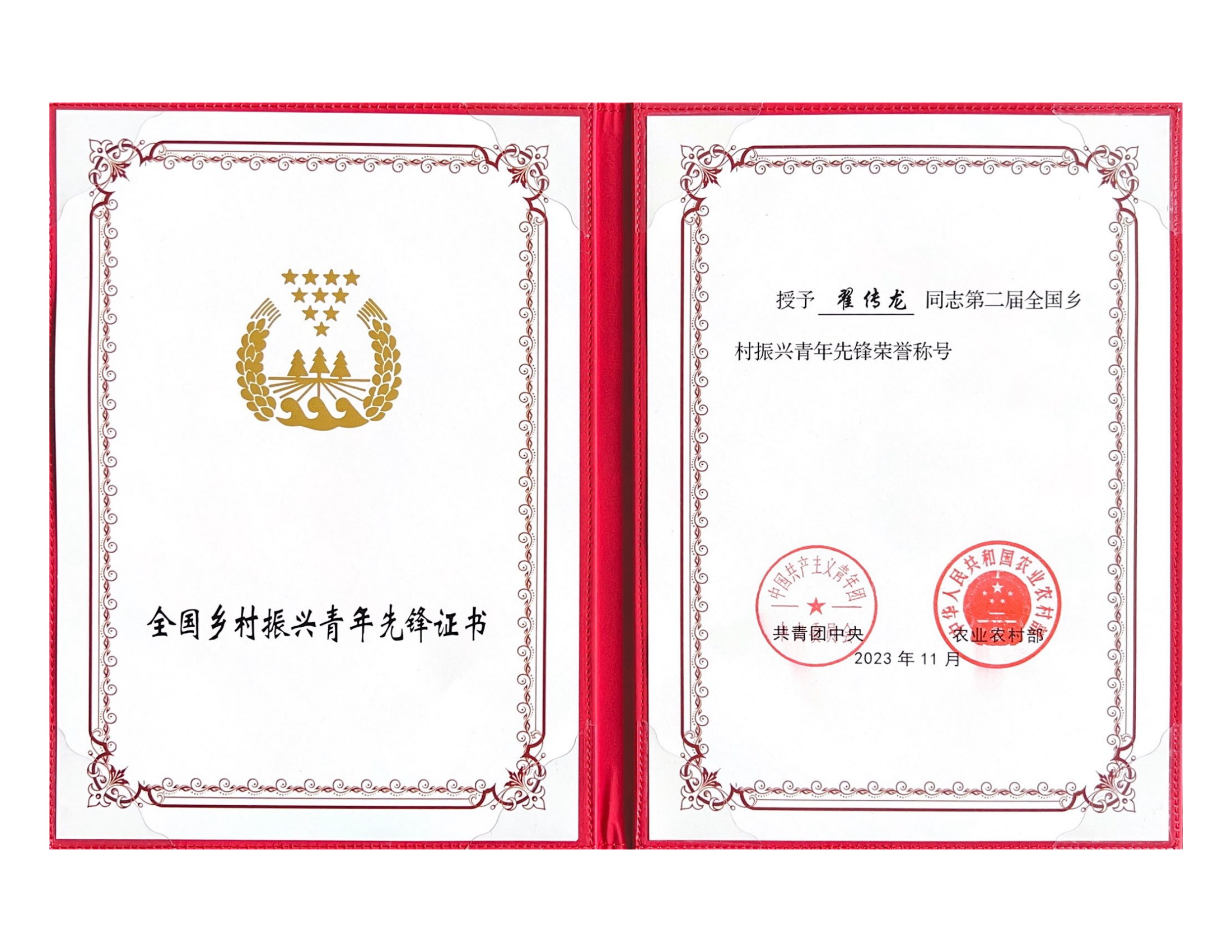 全国乡村振兴青年先锋荣誉称号